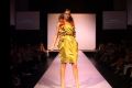 Fashion - Collections