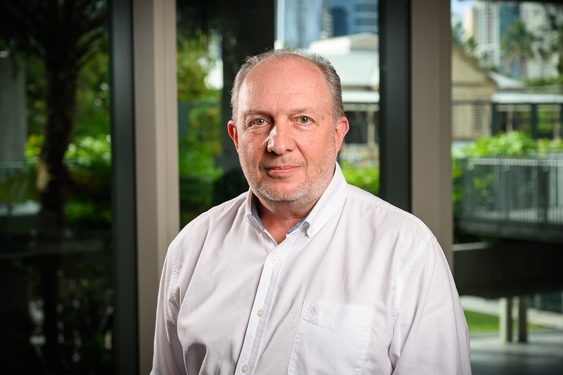 Distinguished Professor Dmitri Golberg