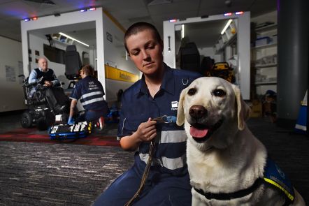 QUT - Bachelor of Paramedic Science