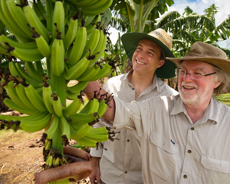 Centre for Agriculture and the Bioeconomy