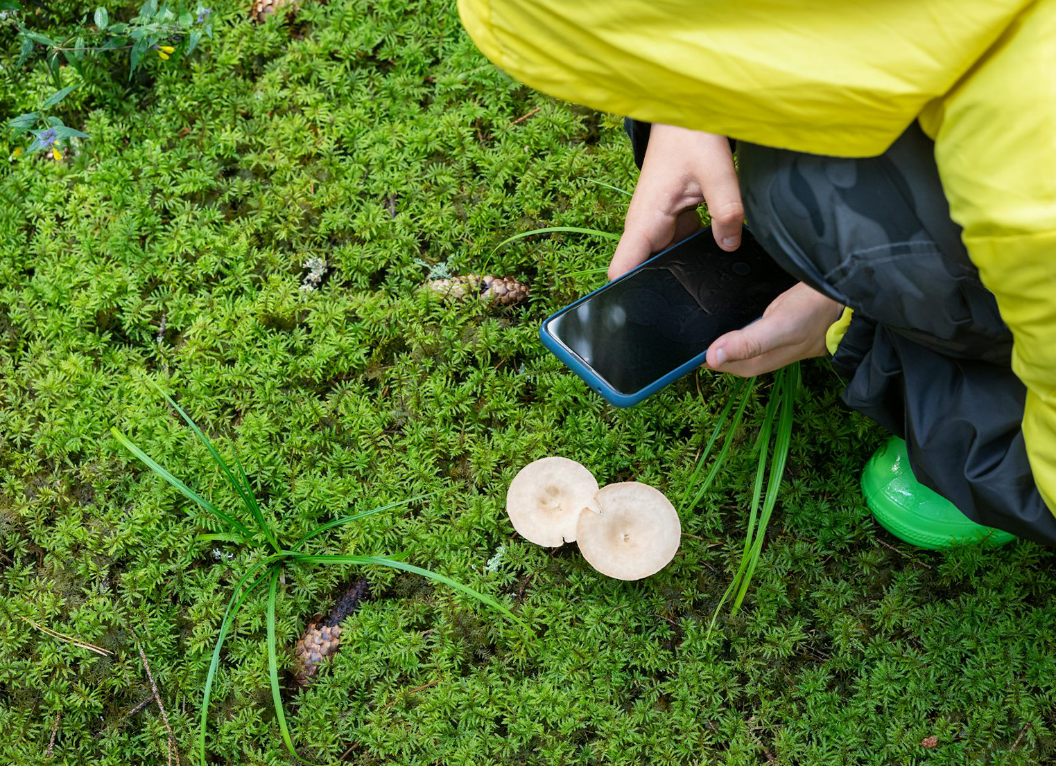 Tech can help kids connect with nature and go outdoors – here are tips to make it work