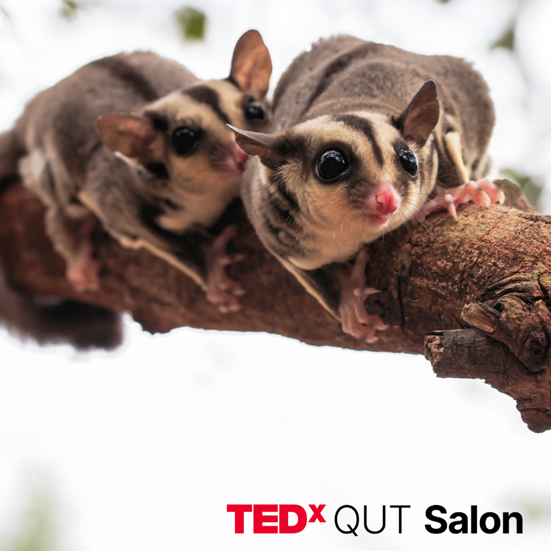 TEDxQUT Salon | World Wildlife Day 2026