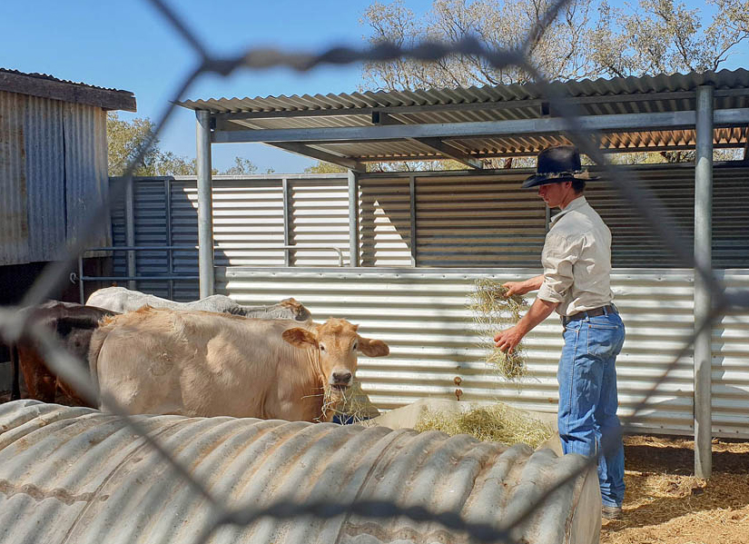 Storytelling perspectives from rural Queensland