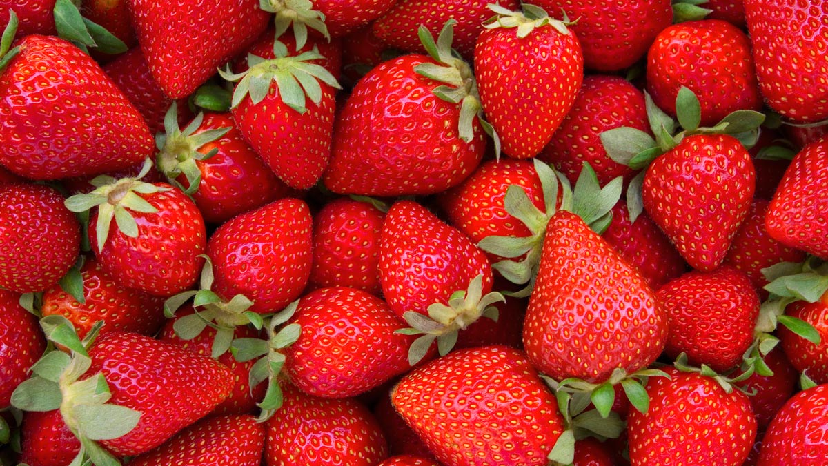 Growers are in a jam now, but strawberry sabotage may well end up helping the industry
