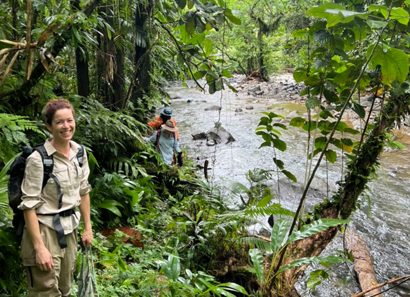 Exploring Tropical Rainforest Biodiversity