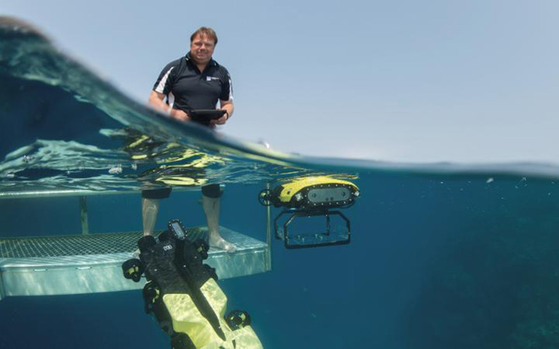 Special delivery brings new life to the Great Barrier Reef