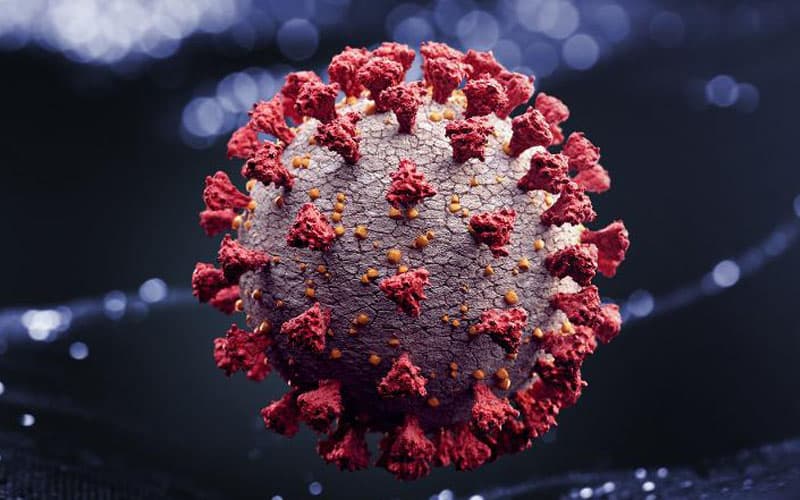 Genome study reveals East Asian coronavirus epidemic 20,000 years ago